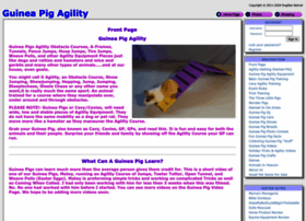 Guineapigagility.com thumbnail