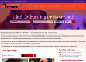 Guineapigfinder.com thumbnail