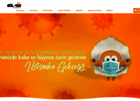 Gultavyumurta.com.tr thumbnail