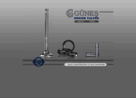Gunesenginevalves.com thumbnail
