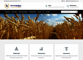 Hamitogullariun.com thumbnail