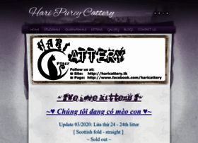 Haricattery.weebly.com thumbnail