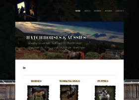 Hatchhorses.com thumbnail