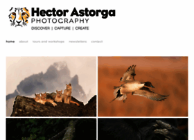 Hectorastorga.com thumbnail