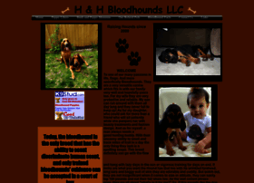 Hhbloodhounds.com thumbnail