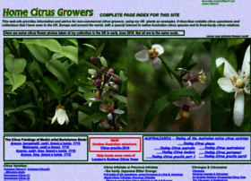 Homecitrusgrowers.co.uk thumbnail
