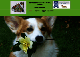 Honeyfoxcorgis.com thumbnail