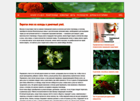 Horosho-zhivem.ru thumbnail