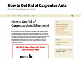 Howtogetridofcarpenterants.org thumbnail