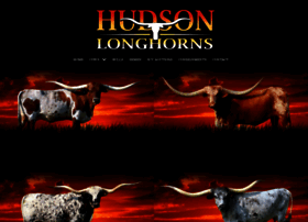 Hudsonlonghorns.com thumbnail