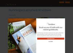Hummingbirdsathome.org thumbnail