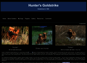 Huntersgoldstrike.com thumbnail