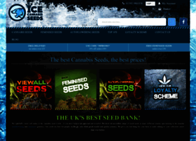 Ice-cannabis-seeds.co.uk thumbnail