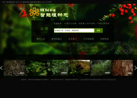 Iflora.cn thumbnail