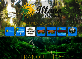 Illovonursery.co.za thumbnail