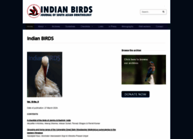 Indianbirds.in thumbnail