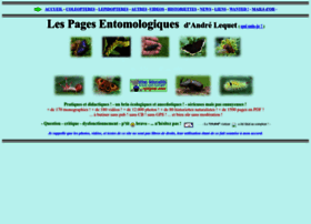 Insectes-net.fr thumbnail