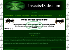 Insects4sale.americommerce.com thumbnail