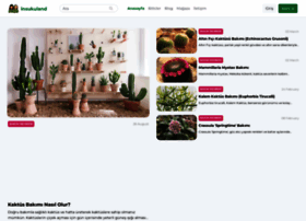 Insukuland.com thumbnail