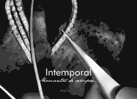 Intemporal.com.pt thumbnail