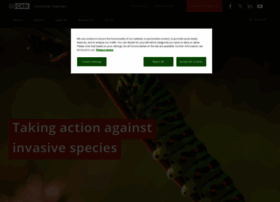 Invasive-species.org thumbnail