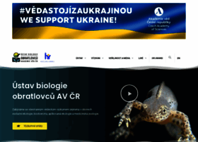 Ivb.cz thumbnail