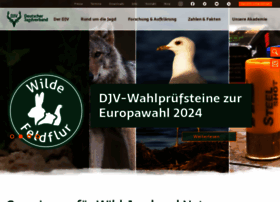 Jagdnetz.de thumbnail