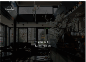 Kamerlingh-vanderwerf.nl thumbnail