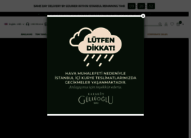 Karakoygulluoglu.com thumbnail