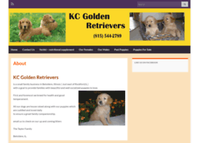 Kcgoldenretrievers.com thumbnail