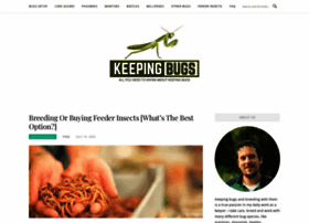 Keepingbugs.com thumbnail