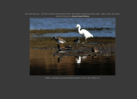 Killdeer.org thumbnail