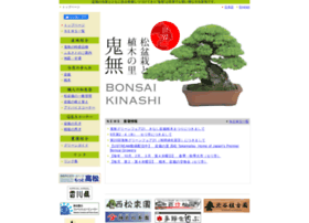 Kinashi-bonsai.com thumbnail