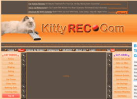 Kittyrec.com thumbnail