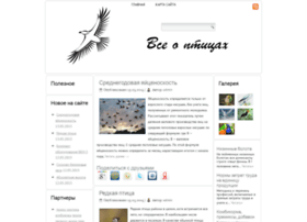 Kolibri-ast.ru thumbnail