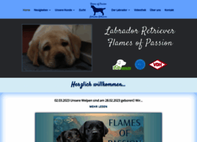 Labrador-passion.de thumbnail
