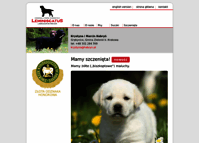 Labradory.pl thumbnail