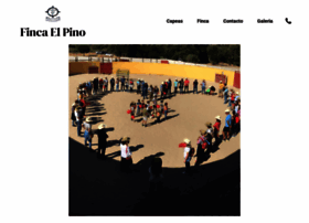 Lafincaelpino.com thumbnail