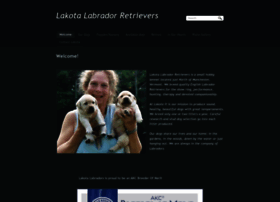 Lakotalabs.com thumbnail