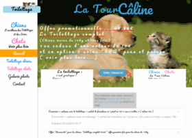 Latourcaline-toilettage-paris.fr thumbnail