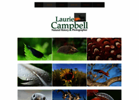 Lauriecampbell.com thumbnail