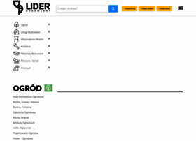 Liderbudowlany.pl thumbnail