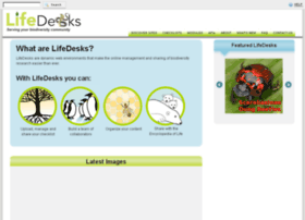 Lifedesks.org thumbnail