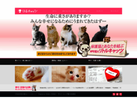 Littlecats.jp thumbnail