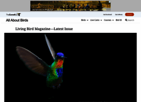 Livingbird.org thumbnail