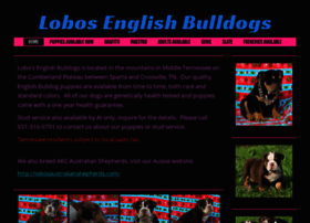 Lobosenglishbulldogs.com thumbnail