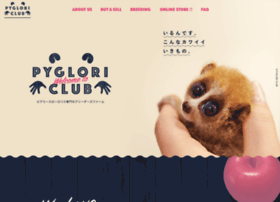 Loris Love Com At Wi ピグミースローロリスの飼育 繁殖 販売 買取 Pyglori Club ピグロリクラブ