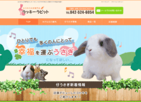 Lucky-rabbit.jp thumbnail