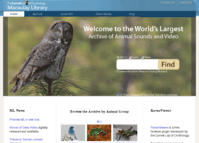 Macaulaylibrary.com thumbnail