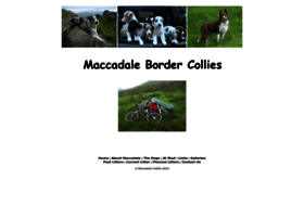 Maccadalecollies.co.uk thumbnail